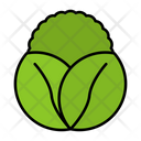 پیش‌نمایش فایل lettuce-9139392 از پک باغبانی