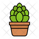 پیش‌نمایش فایل ornamental-plant-9139399 از پک باغبانی