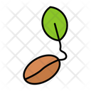 پیش‌نمایش فایل seeds-9139420 از پک باغبانی