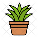 پیش‌نمایش فایل spider-plant-9139425 از پک باغبانی