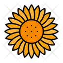 پیش‌نمایش فایل sunflower-9139431 از پک باغبانی