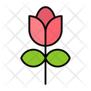 پیش‌نمایش فایل tulip-9139436 از پک باغبانی