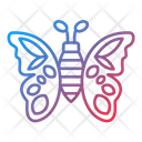 پیش‌نمایش فایل butterfly-9203569 از پک باغبانی