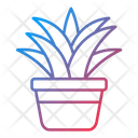 پیش‌نمایش فایل spider-plant-9203641 از پک باغبانی