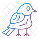 پیش‌نمایش فایل bird-9194906 از پک سفر