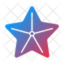 پیش‌نمایش فایل starfish-9241962 از پک تابستان