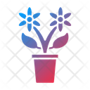 پیش‌نمایش فایل flower-pot-9235298 از پک زندگی خانوادگی