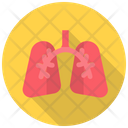 پیش‌نمایش فایل pulmonology-1945872 از پک پزشکی و مراقبت های بهداشتی