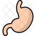پیش‌نمایش فایل stomach-1945817 از پک پزشکی و مراقبت های بهداشتی