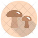 پیش‌نمایش فایل mushroom-1976352 از پک غذا و نوشیدنی