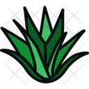 پیش‌نمایش فایل aloe-vera-1976427 از پک کشاورزی و باغبانی