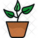 پیش‌نمایش فایل pot-plant-1976429 از پک کشاورزی و باغبانی
