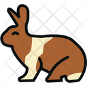 پیش‌نمایش فایل rabbit-1976446 از پک کشاورزی و باغبانی