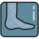 پیش‌نمایش فایل foot-x-ray-3081763 از پک بیمارستان و مراقبت های بهداشتی