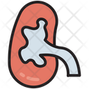پیش‌نمایش فایل kidney-3081774 از پک بیمارستان و مراقبت های بهداشتی