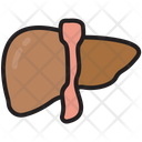 پیش‌نمایش فایل liver-3081757 از پک بیمارستان و مراقبت های بهداشتی