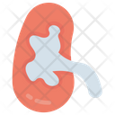 پیش‌نمایش فایل kidney-3110976 از پک بیمارستان و مراقبت های بهداشتی