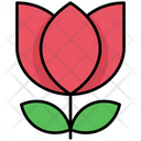 پیش‌نمایش فایل flower-4646396 از پک زمستان، جلد ۲