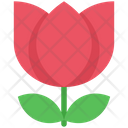 پیش‌نمایش فایل flower-4646446 از پک زمستان، جلد ۲