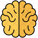 پیش‌نمایش فایل brain-4674703 از پک سلامت و درمان، جلد ۱