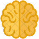 پیش‌نمایش فایل brain-4674753 از پک سلامت و درمان، جلد ۱