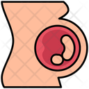 پیش‌نمایش فایل pregnant-4675658 از پک سلامت و درمان، جلد ۴