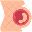 پیش‌نمایش فایل pregnant-4675708 از پک سلامت و درمان، جلد ۴
