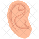 پیش‌نمایش فایل ear-4675109 از پک سلامت و درمان، جلد ۲