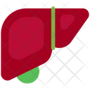 پیش‌نمایش فایل liver-4675410 از پک سلامت و درمان، جلد ۳
