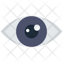 پیش‌نمایش فایل eye-4729372 از پک سئو، جلد ۴