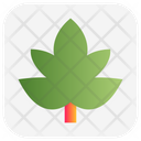 پیش‌نمایش فایل maple-leaf-4760262 از پک کریسمس، جلد ۱