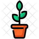 پیش‌نمایش فایل flowers-pot-2103791 از پک بهار
