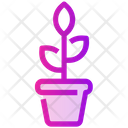 پیش‌نمایش فایل flowers-pot-2103871 از پک بهار