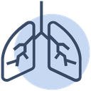 پیش‌نمایش فایل lungs-2221512 از پک ویروس کرونا