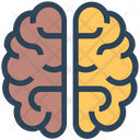 پیش‌نمایش فایل brain-2265523 از پک سئو و وب