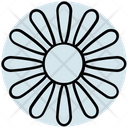 پیش‌نمایش فایل flower-2630668 از پک تابستان ۲