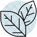 پیش‌نمایش فایل leaves-2630688 از پک تابستان ۲