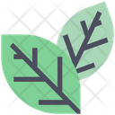 پیش‌نمایش فایل leaves-2630888 از پک تابستان ۲