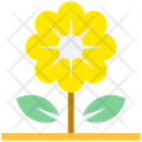 پیش‌نمایش فایل sunflower-2630898 از پک تابستان ۲