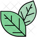 پیش‌نمایش فایل leaves-2630788 از پک تابستان ۲