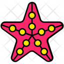 پیش‌نمایش فایل sea-star-2630810 از پک تابستان ۲