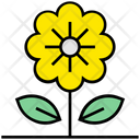 پیش‌نمایش فایل sunflower-2630798 از پک تابستان ۲