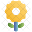 پیش‌نمایش فایل flower-2642431 از پک دوربین