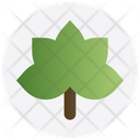 پیش‌نمایش فایل leaf-2672582 از پک روز شکرگزاری