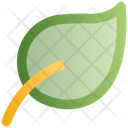 پیش‌نمایش فایل leaf-2676331 از پک وب و موبایل ۲