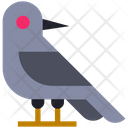 پیش‌نمایش فایل crow-2678937 از پک هالووین