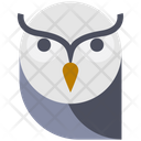 پیش‌نمایش فایل owl-2678859 از پک هالووین