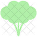 پیش‌نمایش فایل broccoli-3060918 از پک غذا – جلد ۱