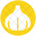 پیش‌نمایش فایل allium-3072344 از پک غذا – جلد ۱
