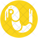 پیش‌نمایش فایل prawn-3072517 از پک غذا – جلد ۲